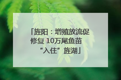 旌阳：增殖放流促修复 10万尾鱼苗“入住”旌湖