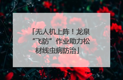 无人机上阵！龙泉“飞防”作业助力松材线虫病防治