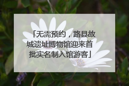无需预约，路县故城遗址博物馆迎来首批实名制入馆游客