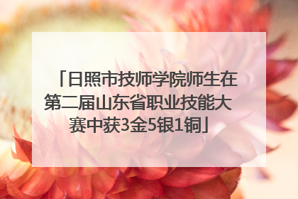 日照市技师学院师生在第二届山东省职业技能大赛中获3金5银1铜