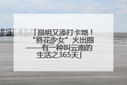 昆明又添打卡地！“簪花少女”火出圈——有一种叫云南的生活之365天