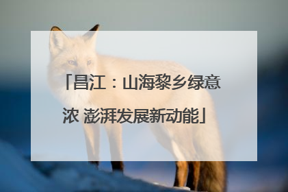 昌江：山海黎乡绿意浓 澎湃发展新动能