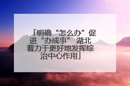 明确“怎么办”促进“办成事” 湖北着力于更好地发挥综治中心作用