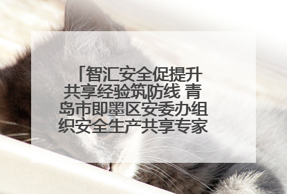 智汇安全促提升 共享经验筑防线 青岛市即墨区安委办组织安全生产共享专家现场观摩学习活动