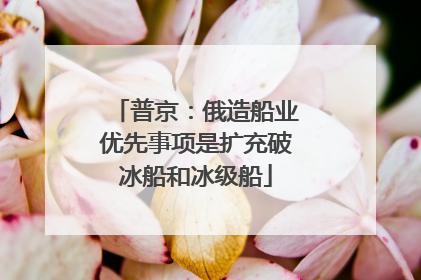 普京：俄造船业优先事项是扩充破冰船和冰级船