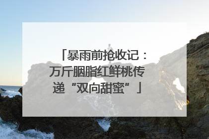 暴雨前抢收记：万斤胭脂红鲜桃传递“双向甜蜜”