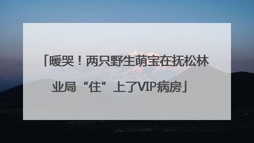 暖哭！两只野生萌宝在抚松林业局“住”上了VIP病房