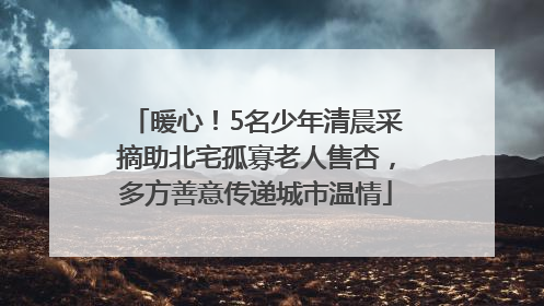 暖心！5名少年清晨采摘助北宅孤寡老人售杏，多方善意传递城市温情