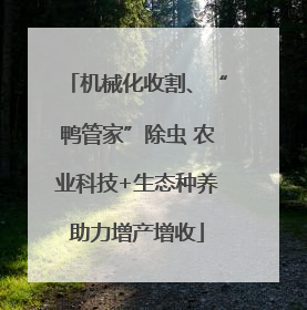 机械化收割、“鸭管家”除虫 农业科技+生态种养助力增产增收