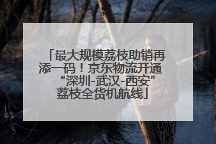 最大规模荔枝助销再添一码！京东物流开通“深圳-武汉-西安” 荔枝全货机航线