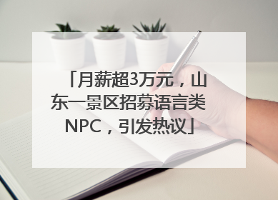 月薪超3万元，山东一景区招募语言类NPC，引发热议