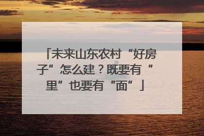 未来山东农村“好房子”怎么建？既要有“里”也要有“面”