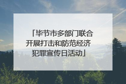 毕节市多部门联合开展打击和防范经济犯罪宣传日活动