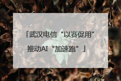 武汉电信“以赛促用”推动AI“加速跑”