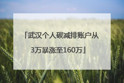 武汉个人碳减排账户从3万暴涨至160万