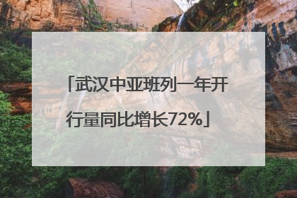 武汉中亚班列一年开行量同比增长72%