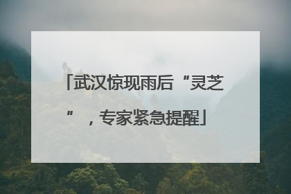 武汉惊现雨后“灵芝”，专家紧急提醒