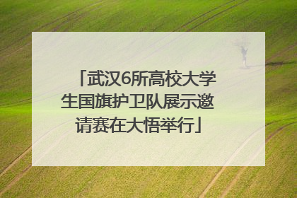 武汉6所高校大学生国旗护卫队展示邀请赛在大悟举行