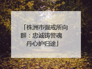 株洲市强戒所向群：忠诚铸警魂 丹心护归途