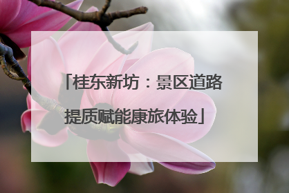 桂东新坊：景区道路提质赋能康旅体验