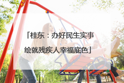 桂东：办好民生实事 绘就残疾人幸福底色