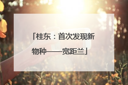 桂东：首次发现新物种——宽距兰