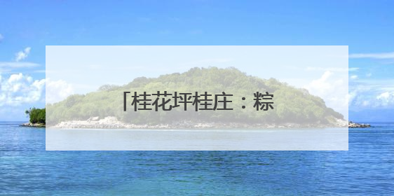 桂花坪桂庄：粽香传情暖邻里 党群同心筑和谐