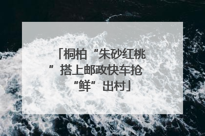 桐柏“朱砂红桃”搭上邮政快车抢“鲜”出村