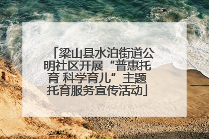 梁山县水泊街道公明社区开展“普惠托育 科学育儿”主题托育服务宣传活动