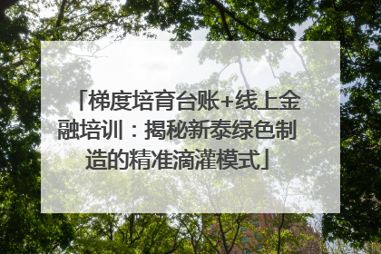 梯度培育台账+线上金融培训：揭秘新泰绿色制造的精准滴灌模式