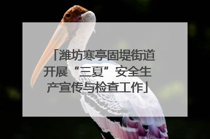 潍坊寒亭固堤街道开展“三夏”安全生产宣传与检查工作