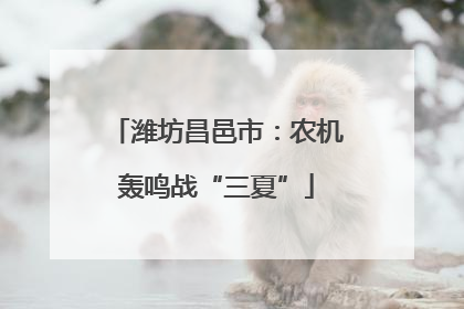 潍坊昌邑市：农机轰鸣战“三夏”