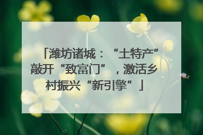 潍坊诸城：“土特产”敲开“致富门”，激活乡村振兴“新引擎”