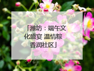 潍坊：端午文化盛宴 温情粽香润社区