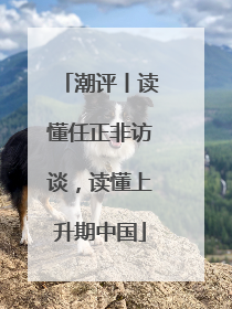 潮评丨读懂任正非访谈，读懂上升期中国