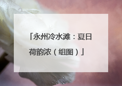 永州冷水滩：夏日荷韵浓（组图）