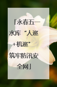 永春五一水库“人巡+机巡” 筑牢防汛安全网