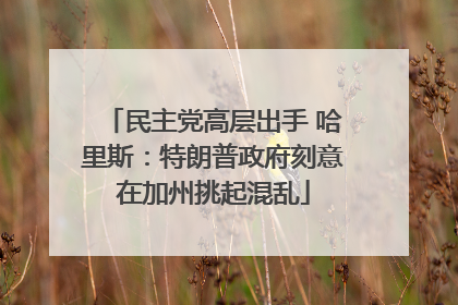 民主党高层出手 哈里斯：特朗普政府刻意在加州挑起混乱