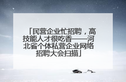 民营企业忙招聘，高技能人才很吃香——河北省个体私营企业网络招聘大会扫描