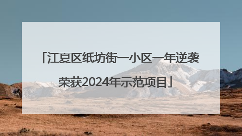 江夏区纸坊街一小区一年逆袭 荣获2024年示范项目