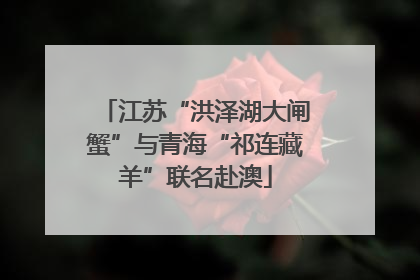 江苏“洪泽湖大闸蟹”与青海“祁连藏羊”联名赴澳