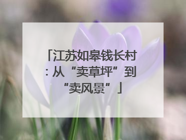 江苏如皋钱长村：从“卖草坪”到“卖风景”