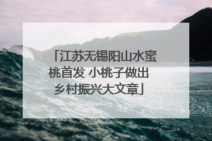 江苏无锡阳山水蜜桃首发 小桃子做出乡村振兴大文章