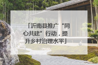 沂南县推广“同心共建”行动，提升乡村治理水平