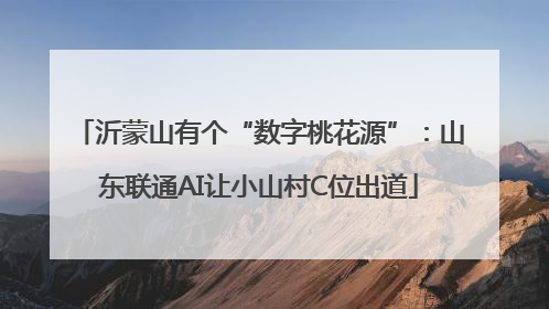 沂蒙山有个“数字桃花源”：山东联通AI让小山村C位出道