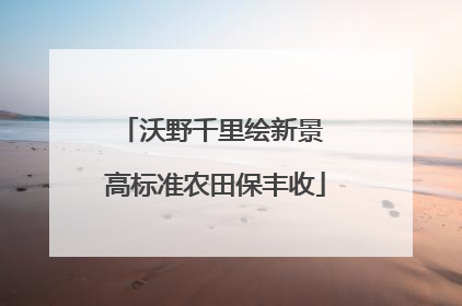 沃野千里绘新景 高标准农田保丰收