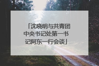 沈晓明与共青团中央书记处第一书记阿东一行会谈
