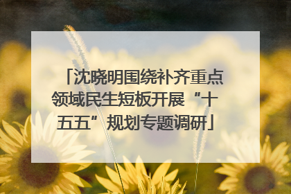 沈晓明围绕补齐重点领域民生短板开展“十五五”规划专题调研