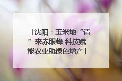 沈阳：玉米地“请”来赤眼蜂 科技赋能农业助绿色增产