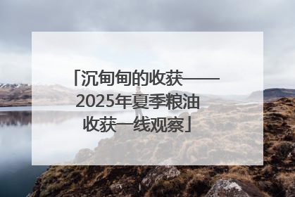 沉甸甸的收获——2025年夏季粮油收获一线观察